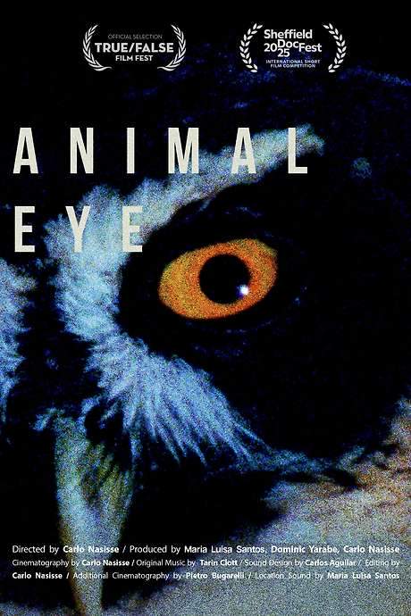    Scientists and philosophers work to understand animal vision in this multi textured rumination exploring our relationship to the nonhuman world.  